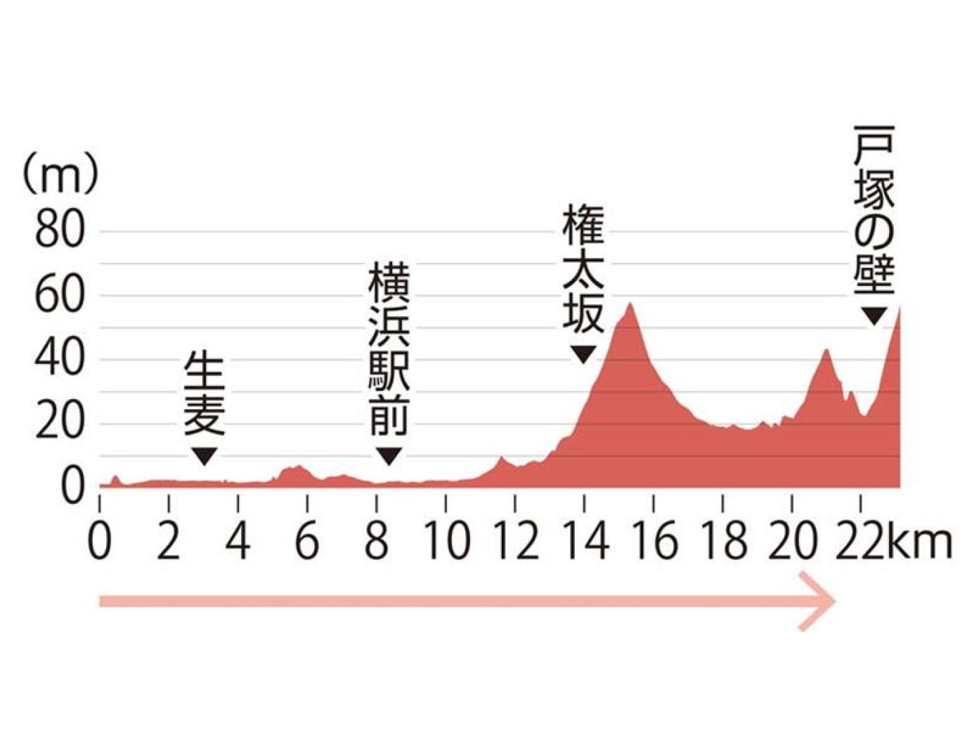 往路2区高低差の図表