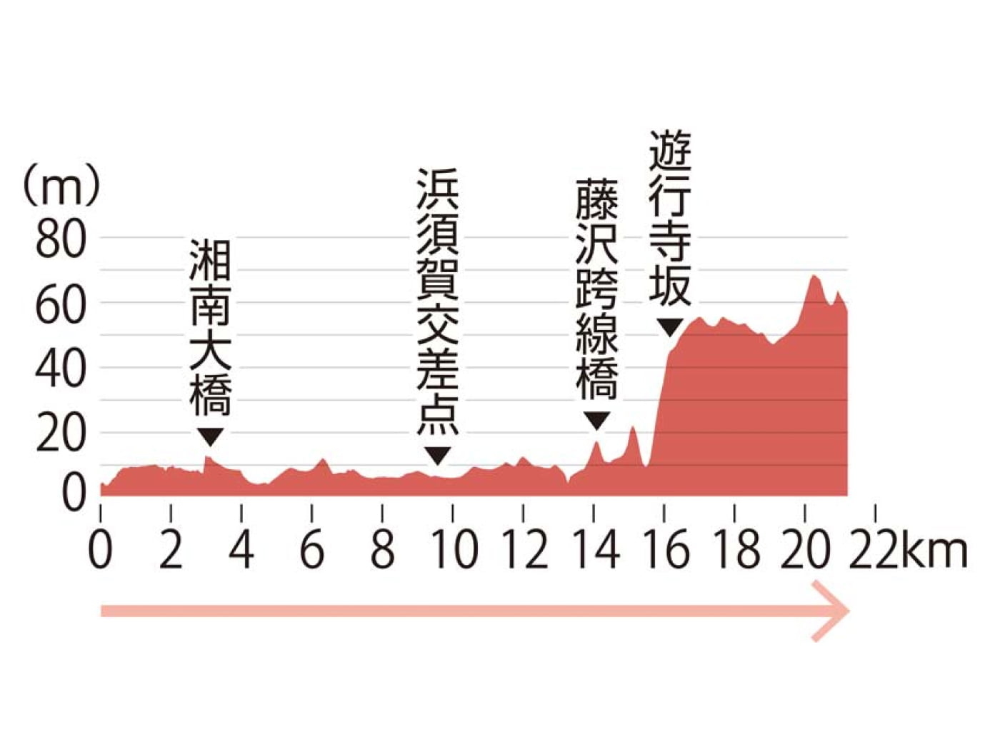 復路8区高低差の図表